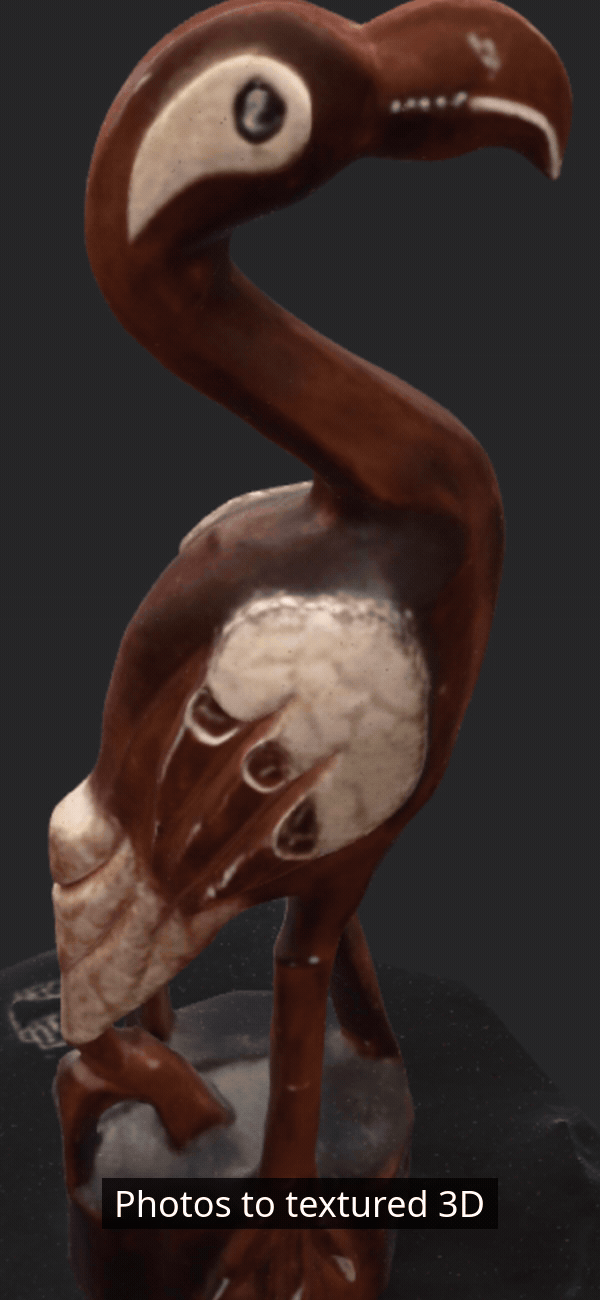 A source photograph followed by several views of its textured 3D reconstruction